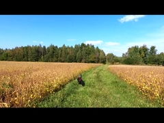 UAV à voilure verticale fixe Drone de surveillance de la cartographie Aéronefs agricoles industriels